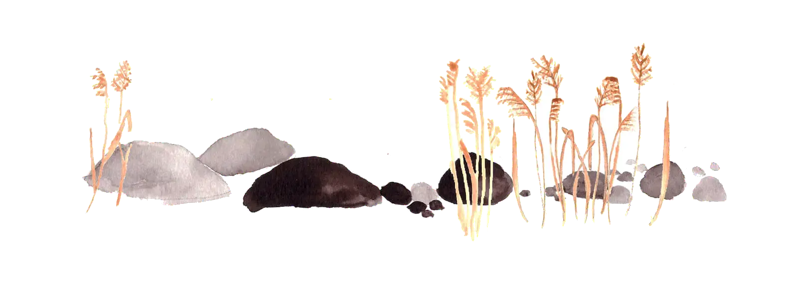 Reed, illustration by Lotta Vuorma
